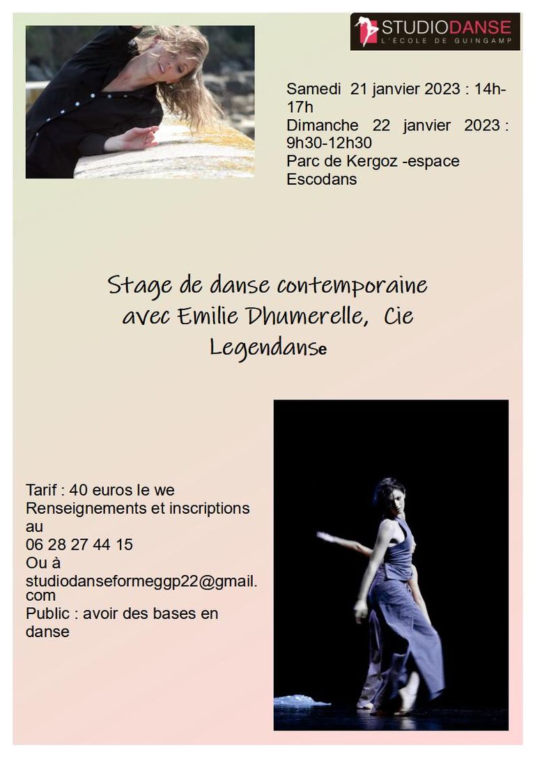 Affiche stage dhumerelle