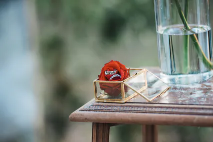 Wedding photos lisa derevycka 335