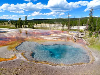 ETATS UNIS : PARC NATIONAL DE YELLOWSTONE