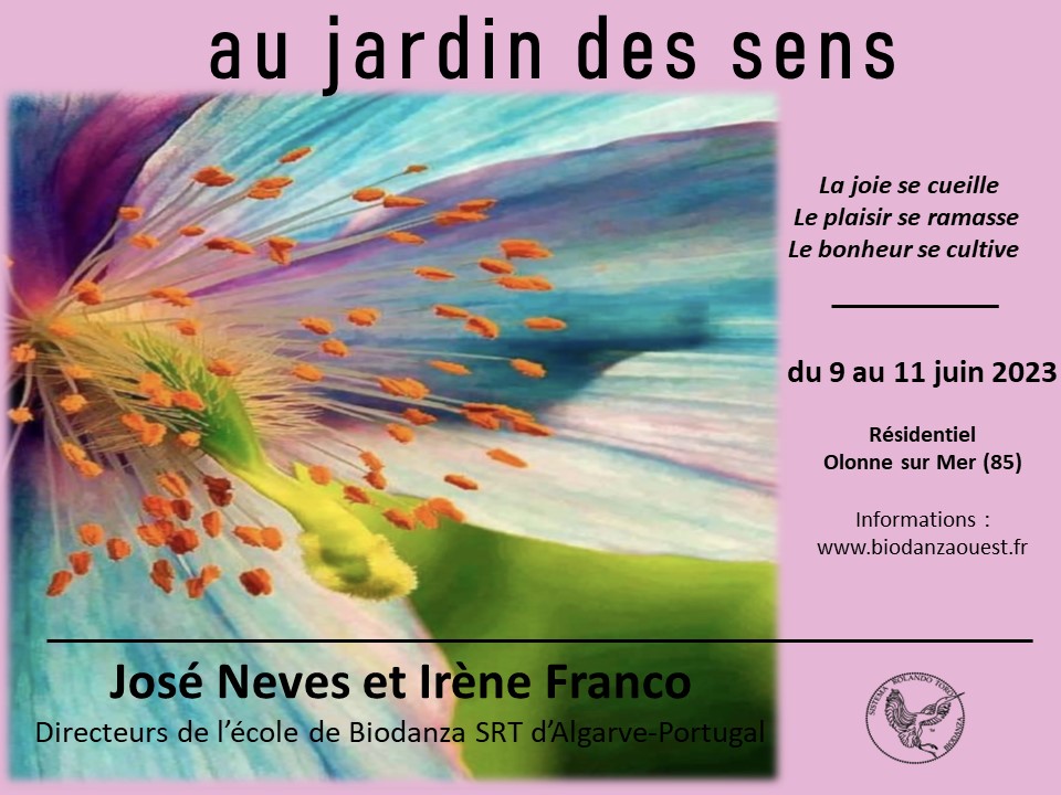 Flyer-1