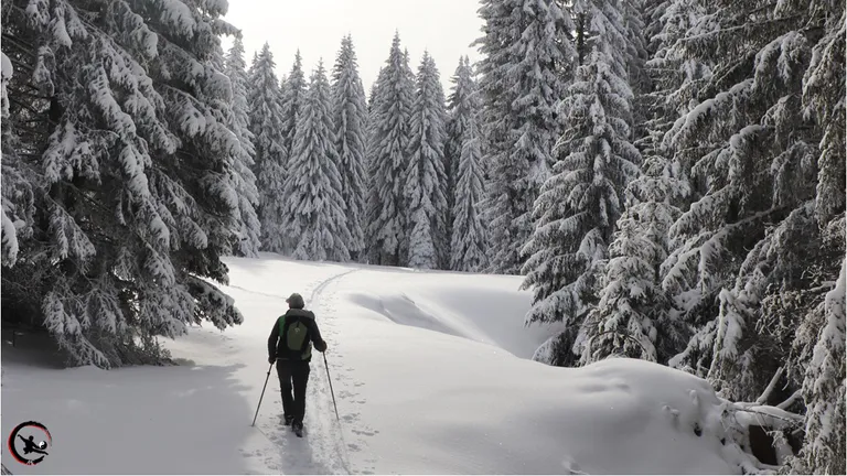 Point sur les vacances d’hiver