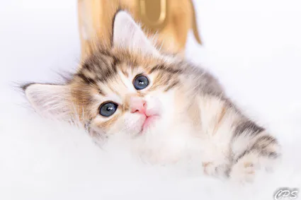 300469617 10209413764739033 661758406864474155 n