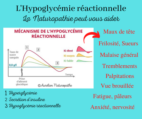 L-hypoglycemie-reactionnelle