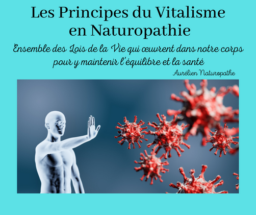 Les-principes-du-vitalisme-en-Naturopathie