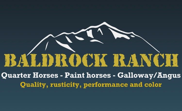 BALDROCK RANCH  / Quarter Horses / Paint Horses / Qualité, rusticité, performance et couleur
