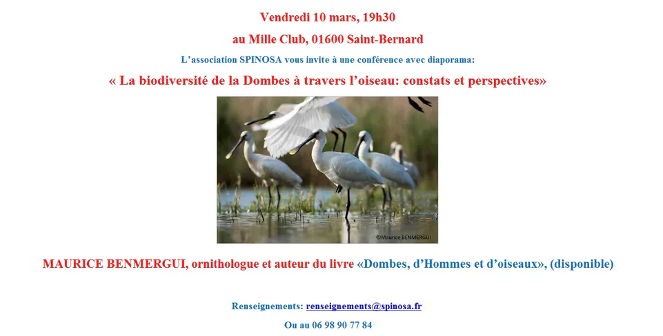 Conférence de l'association Spinosa