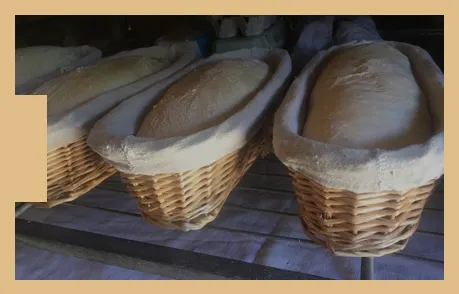 Atelier pain pas loin de Brive en Corrèze