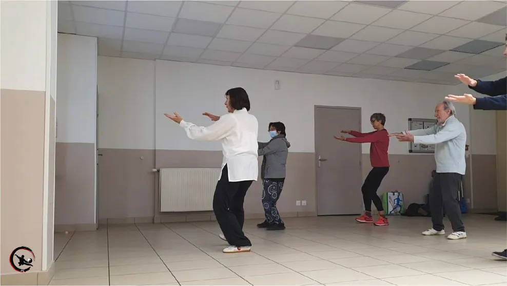 Stage de Qi Gong & Tai Chi sur le thème du Rein à St Savin