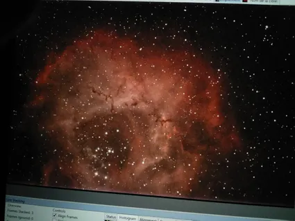 La rosette par philippe