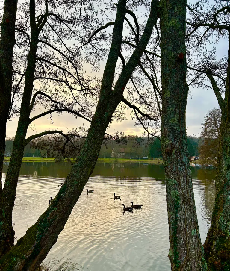 Fin de journee d hiver