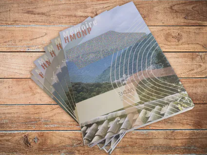 Memoire dcc type livre