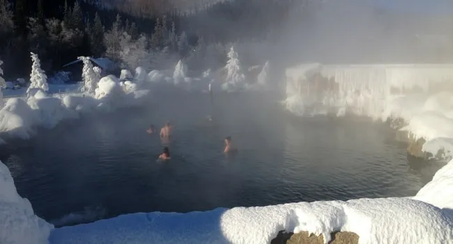 ALASKA : CHENA