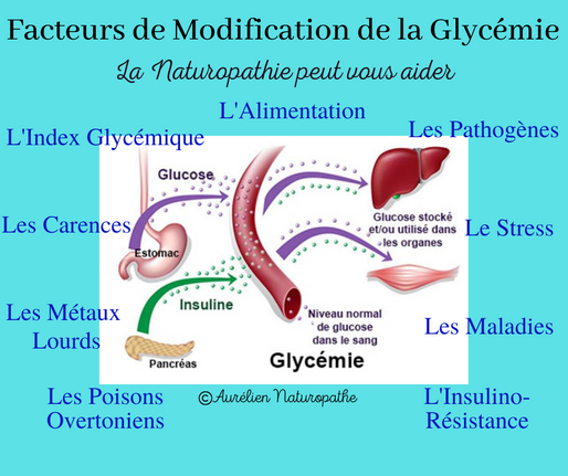 Facteurs-de-modification-de-la-glycemie