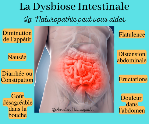 Dysbiose-intestinale