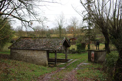 164061248 1920893958087456 5776897976624802433 n