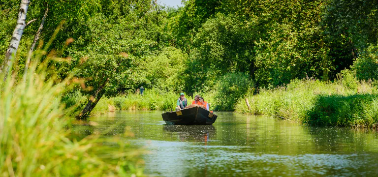 Balade en bacove au marais d isle a saint quentin