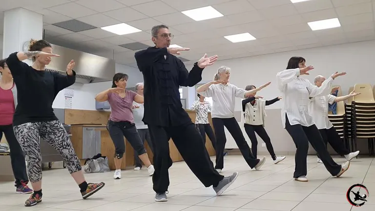 Stage de Qi Gong et Tai Chi sur le thème des spirales à St Savin