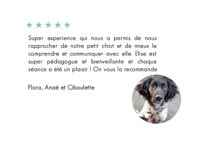 Ciboulette