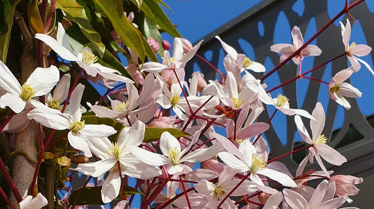 Point sur les vacances de printemps