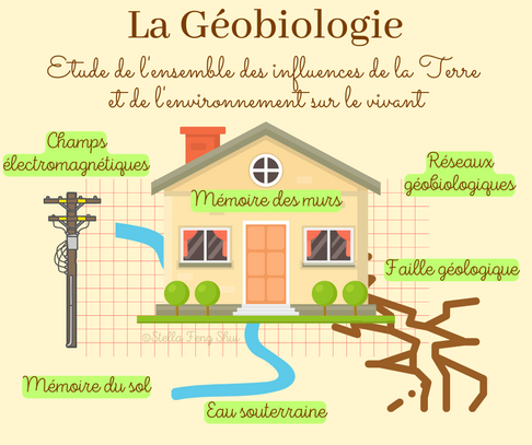 Geobiologie
