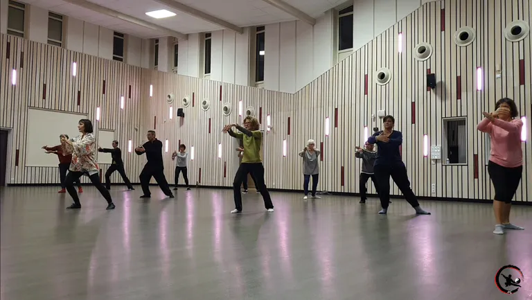 Journée mondiale du qi gong et du tai chi