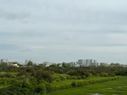 Maraistasdon presvilleneuve lessalines 5813