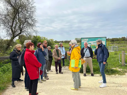 Visiteursafa guide 5828