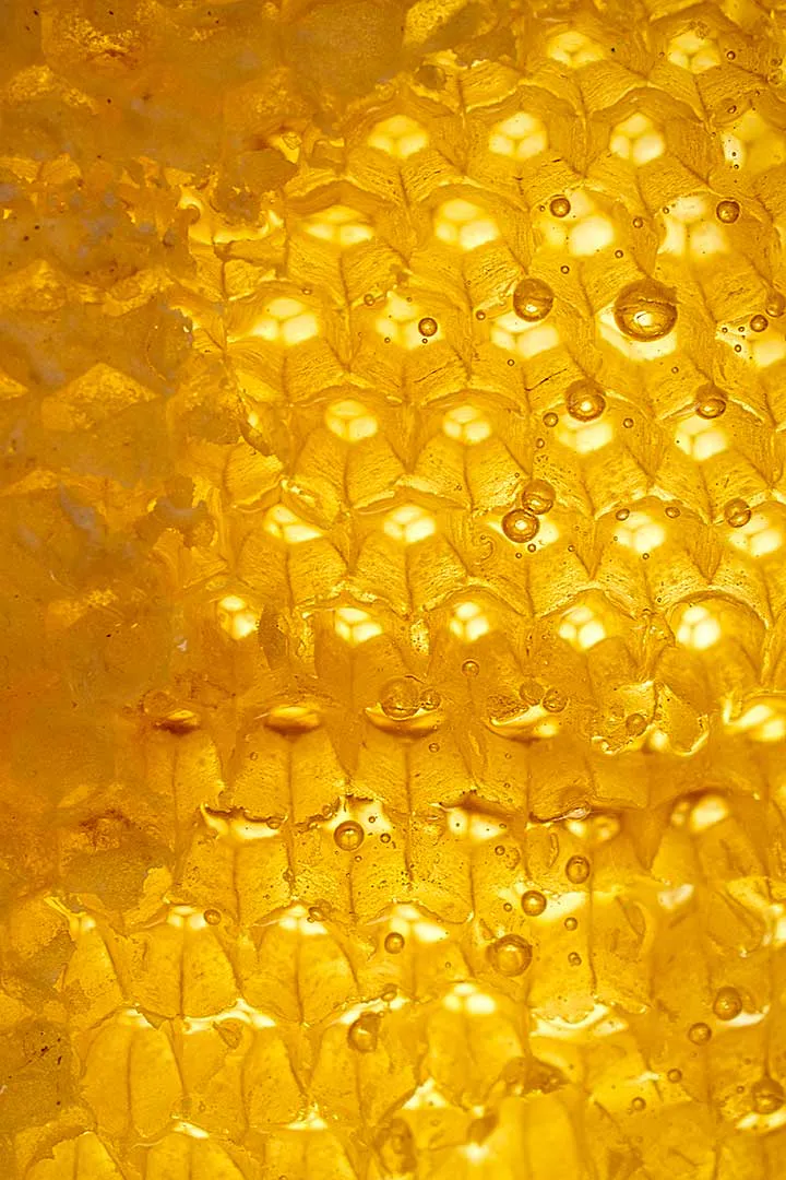 Miel rayon3 cathedrale