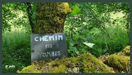 280508619 2243786562464859 7526215684576135340 n