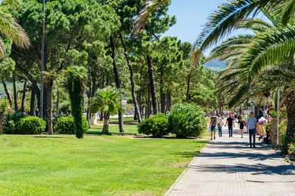 Argeles 13881 ll