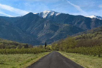 Canigou depuis stmichel de cuixa