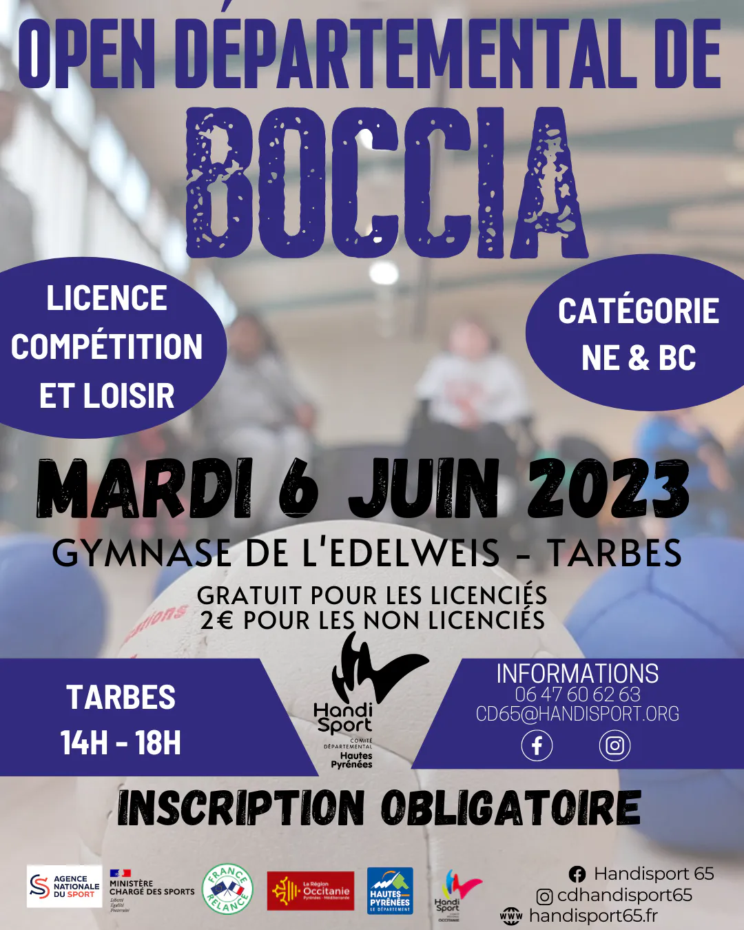 Open Départemental de Boccia