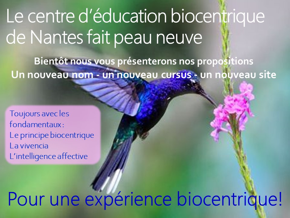 Le-ceb-fait-peau-neuve