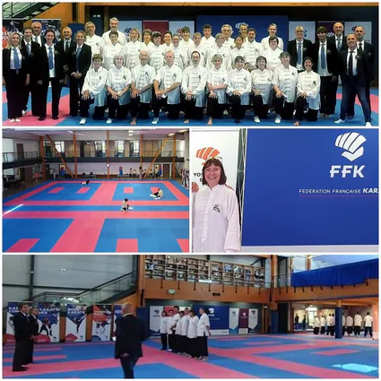 Qi gong bourgoin grade 2eme dan ffk artdumieuxetre 2023 06 2