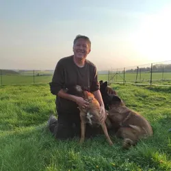 Dépassez les limites du dressage à l'obéissance