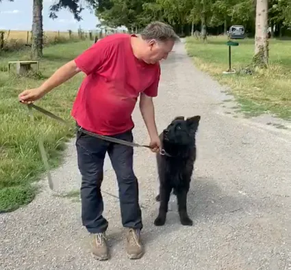 Testez la véritable connexion avec votre chien - Sans laisse, sans contrainte !
