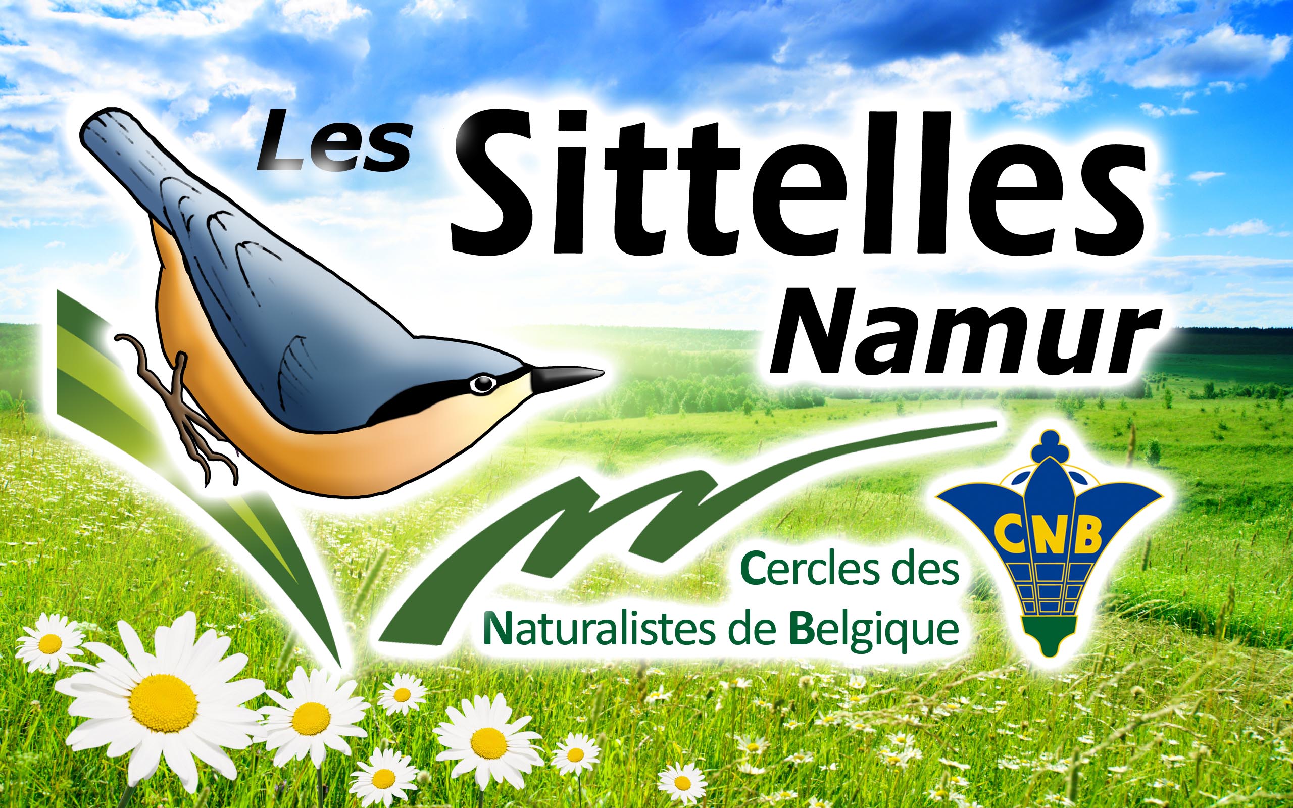 Logo-cnb-namur-FB