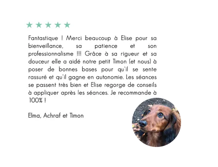 Timon