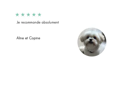 Copine
