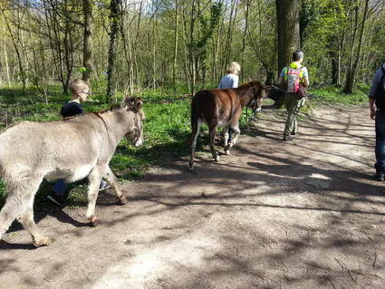 12976706 495520813967959 7439130848046876168 o