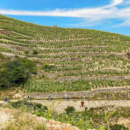 Img trot tain enseigne