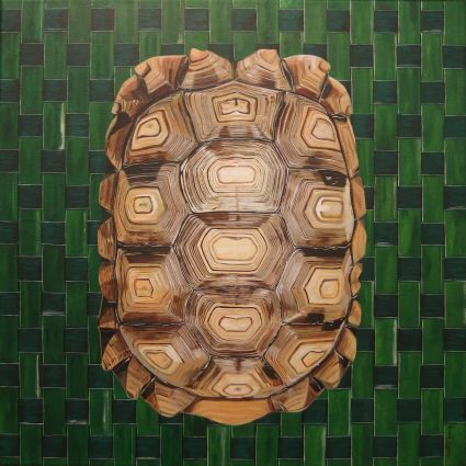 Carapace de tortue 50 x 50 cm