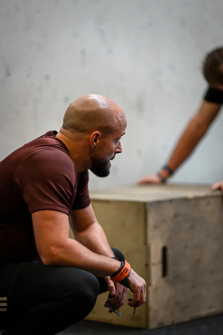 Cflinestra 17 12 7882