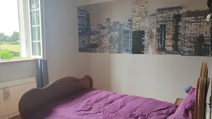 Whatsapp image 2023 08 26 at 11 41 45 am 2