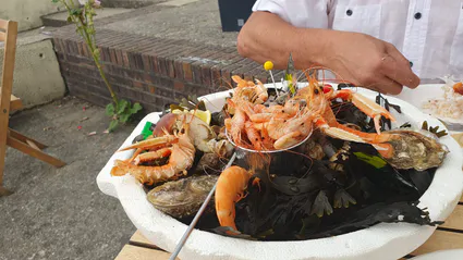 Whatsapp image 2023 08 26 at 11 41 46 am 2