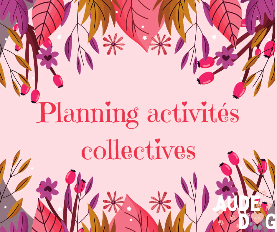 Planing des activités collectives de Septembre