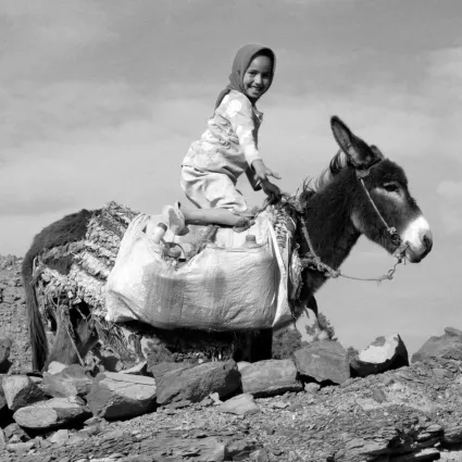 Formaroc 2023 93
