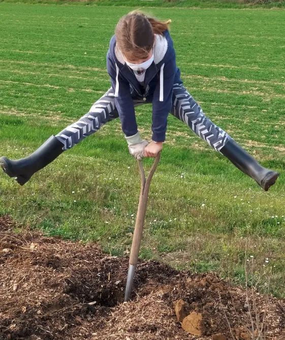 Petit coup de pouce avant les plantations