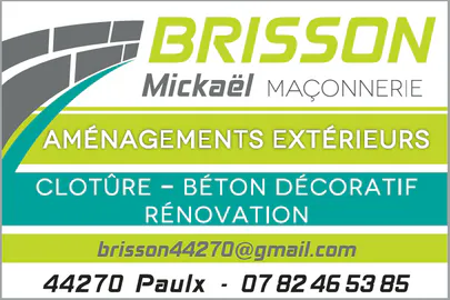 Brisson mickael