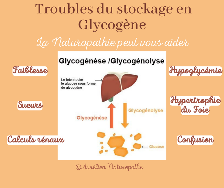  Le-Glycogene-1-